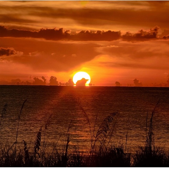 Meet your Posher, Samantha - Picture 1 of 1